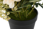 PLANTA POLIESTER PE 28X34X33 BOUQUET 2 SURT. - Imagen 4