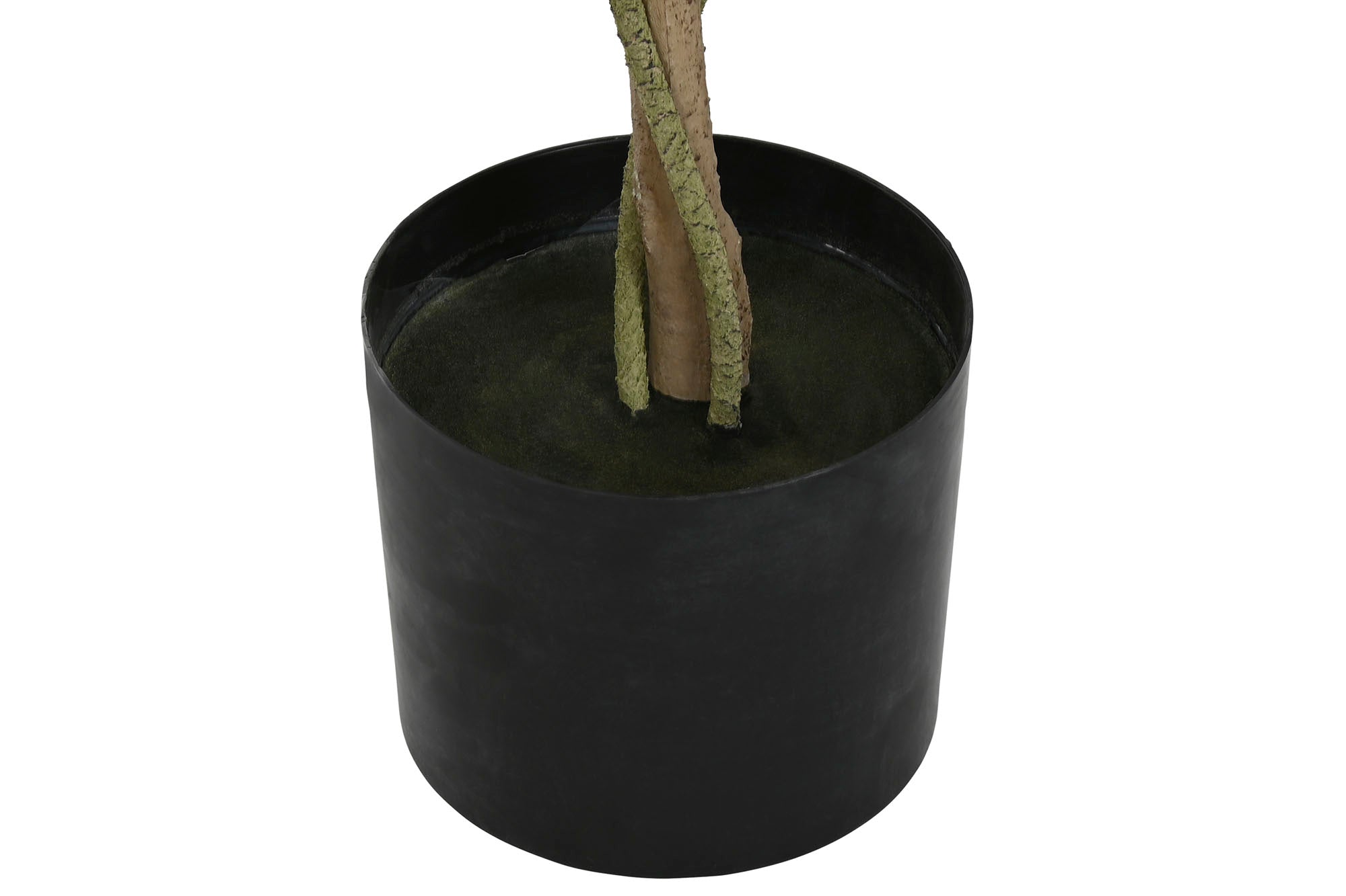 ARBOL PE POLIESTER 50X50X160 CERCIS CHINENSIS - Imagen 4