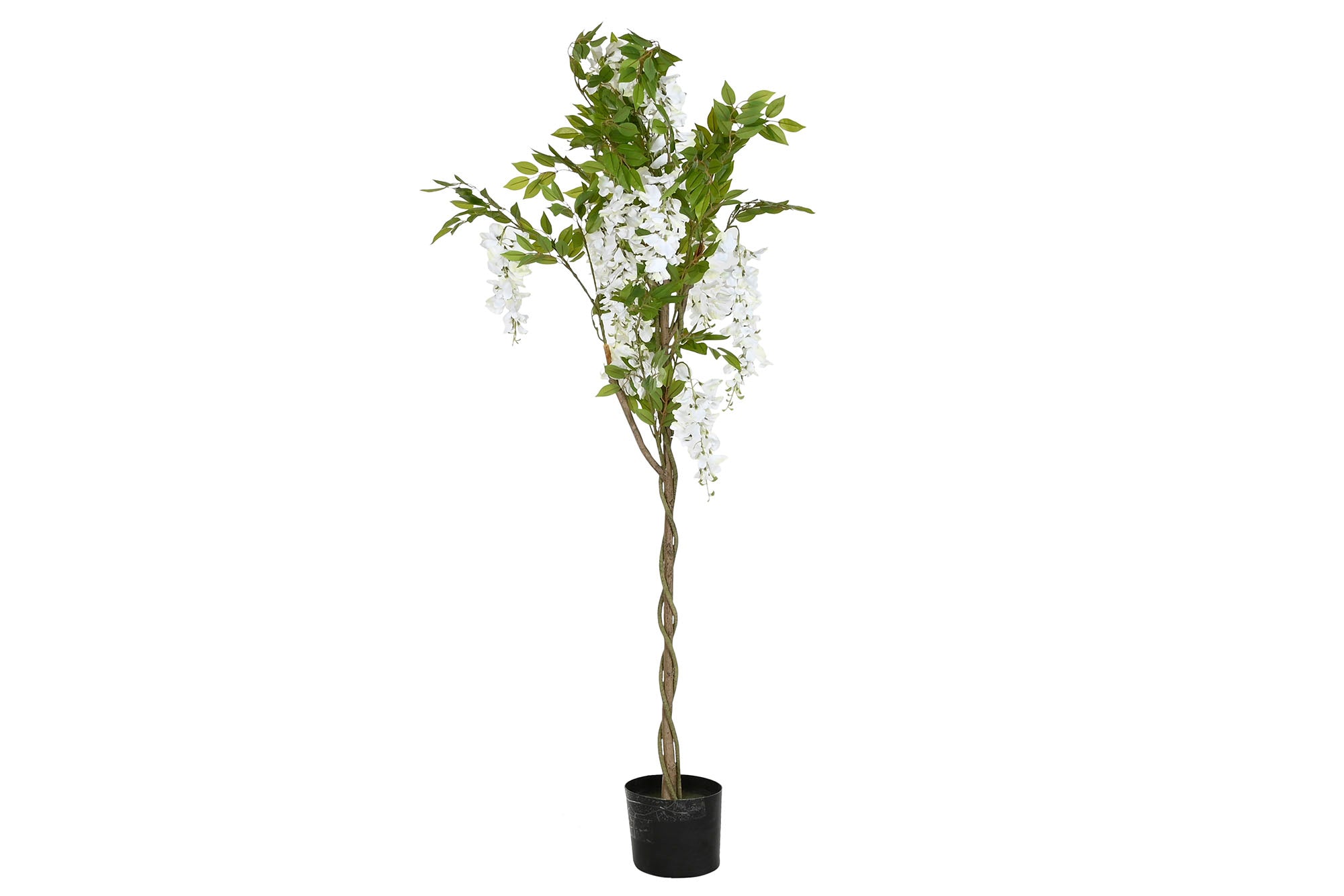 ARBOL PE POLIESTER 50X50X160 CERCIS CHINENSIS - Imagen 1