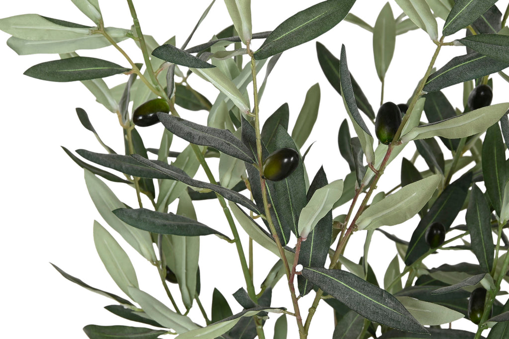 ARBOL PE 42X45X150 OLIVO VERDE - Imagen 2