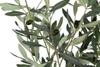 ARBOL PE 42X45X150 OLIVO VERDE - Imagen 2