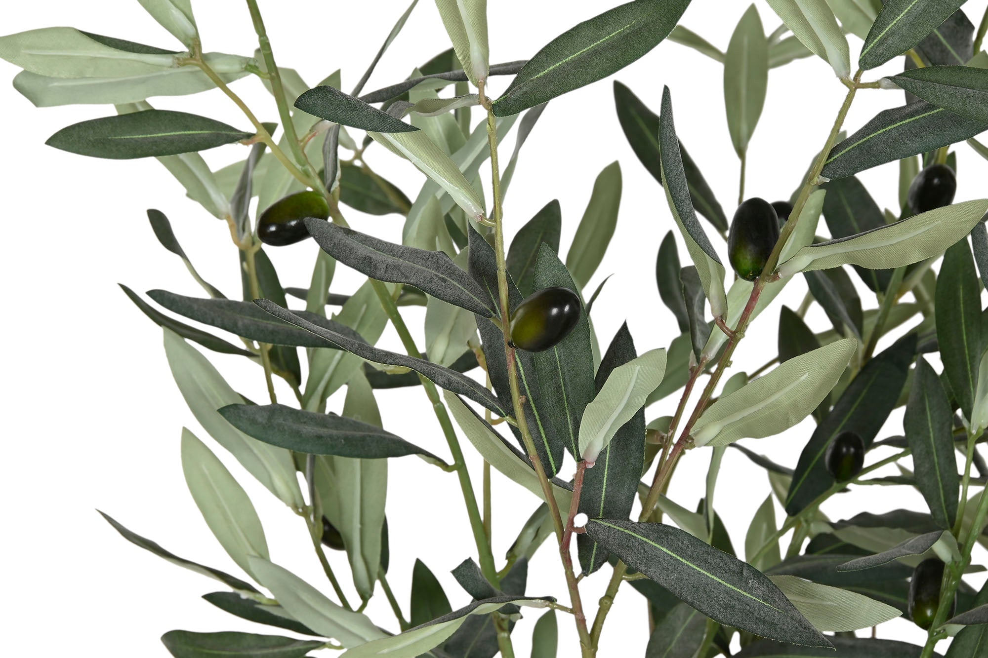 ARBOL PE 42X45X150 OLIVO VERDE - Imagen 2