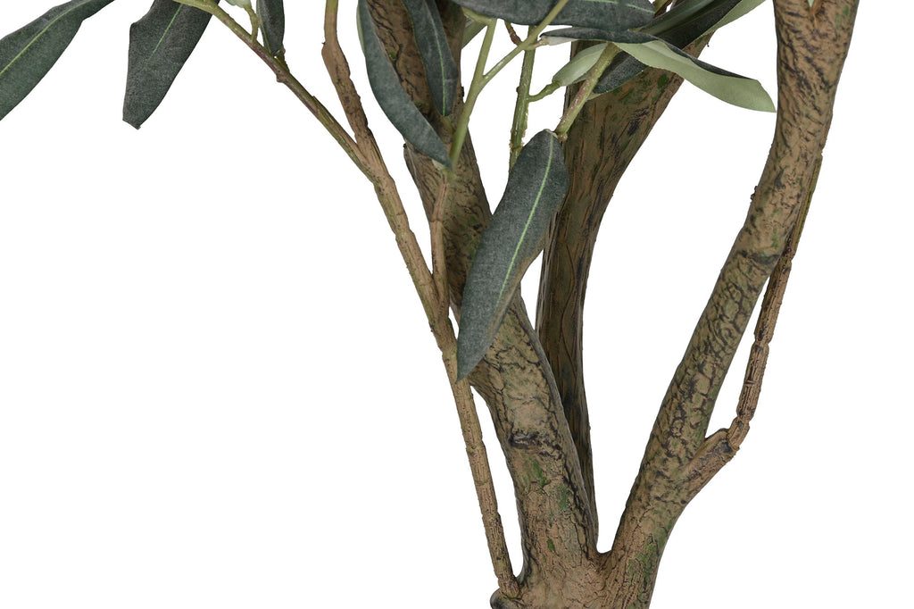 ARBOL PE 42X45X150 OLIVO VERDE - Imagen 4
