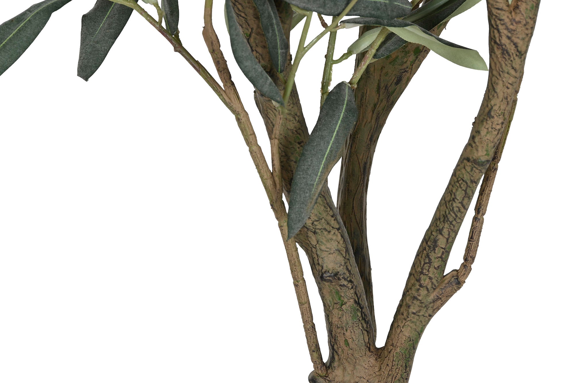 ARBOL PE 42X45X150 OLIVO VERDE - Imagen 4