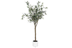 ARBOL PE 42X45X150 OLIVO VERDE - Imagen 1