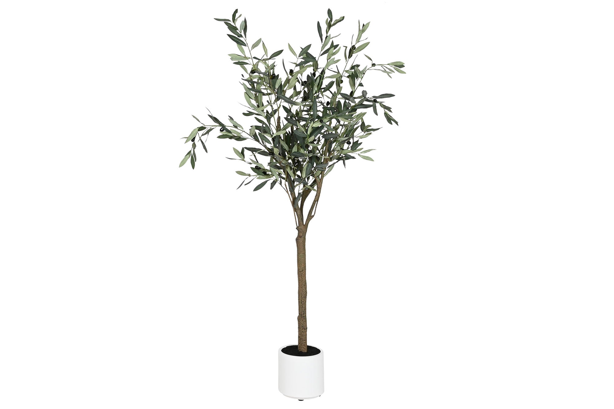 ARBOL PE 42X45X150 OLIVO VERDE - Imagen 1