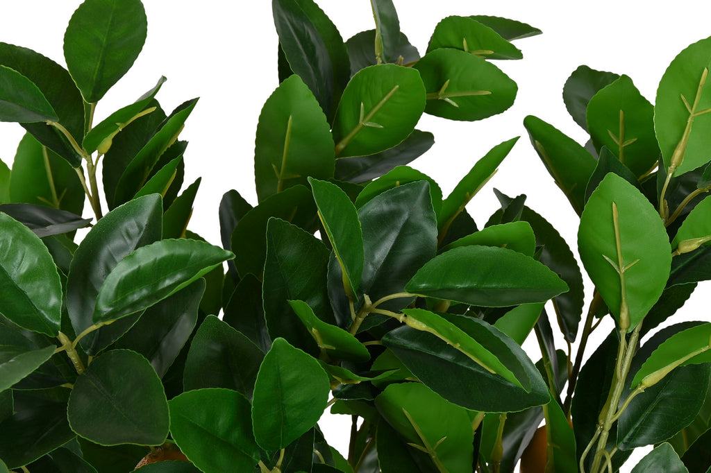 PACK DE 2 ARBOL PE ESPUMA 40X40X80 LIMOMERO VERDE