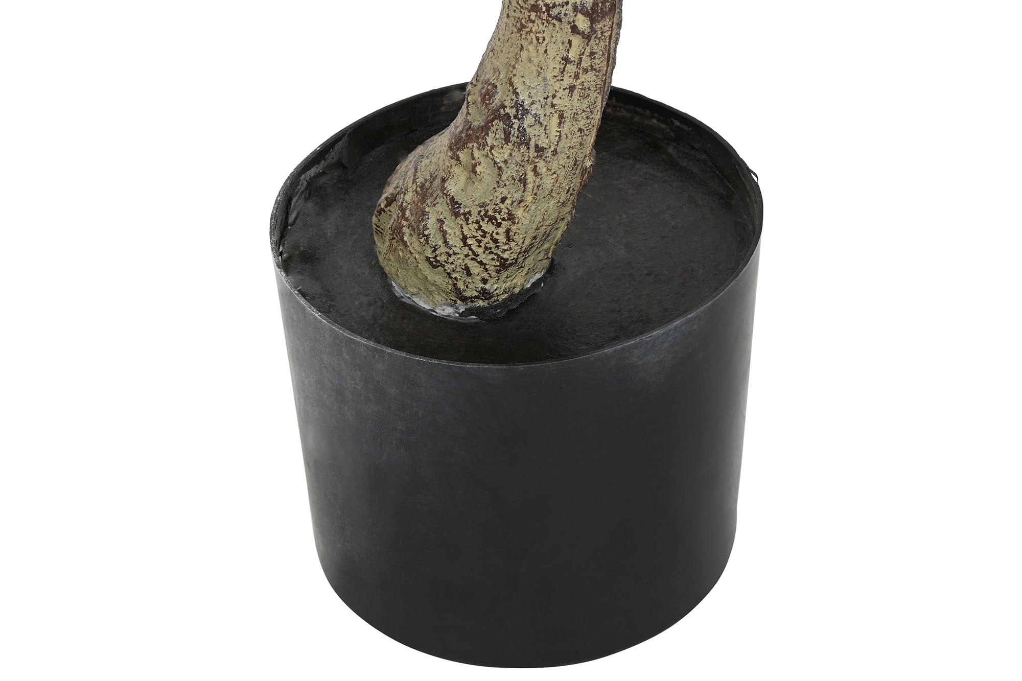 PLANTA PE PP 70X70X160 DRACENA VERDE - Imagen 4