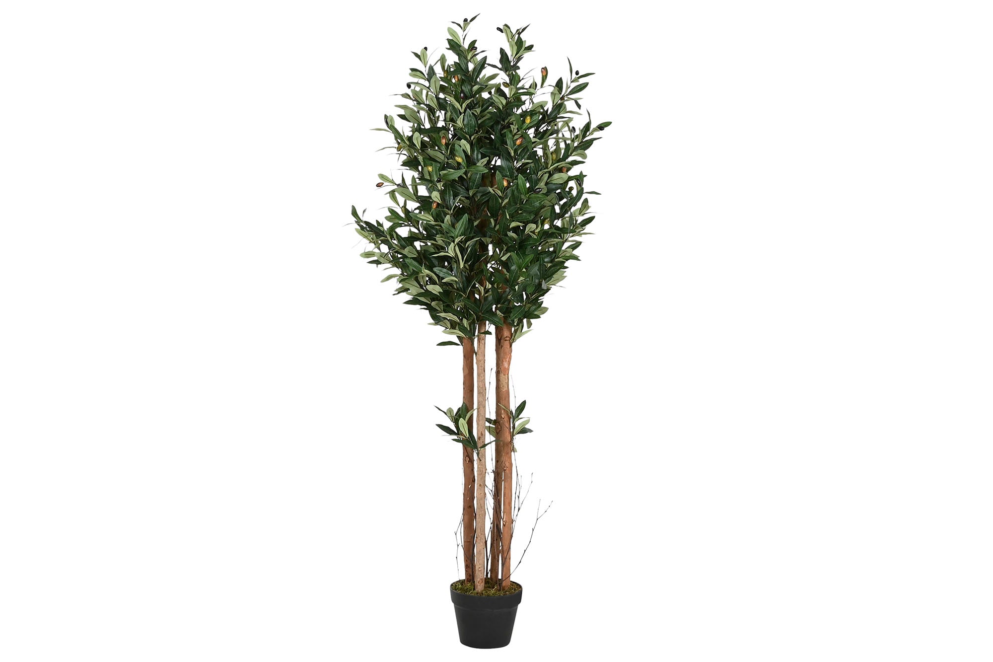 ARBOL POLIESTER PP 60X60X150 1584 HOJ OLIVO VERDE - Imagen 1