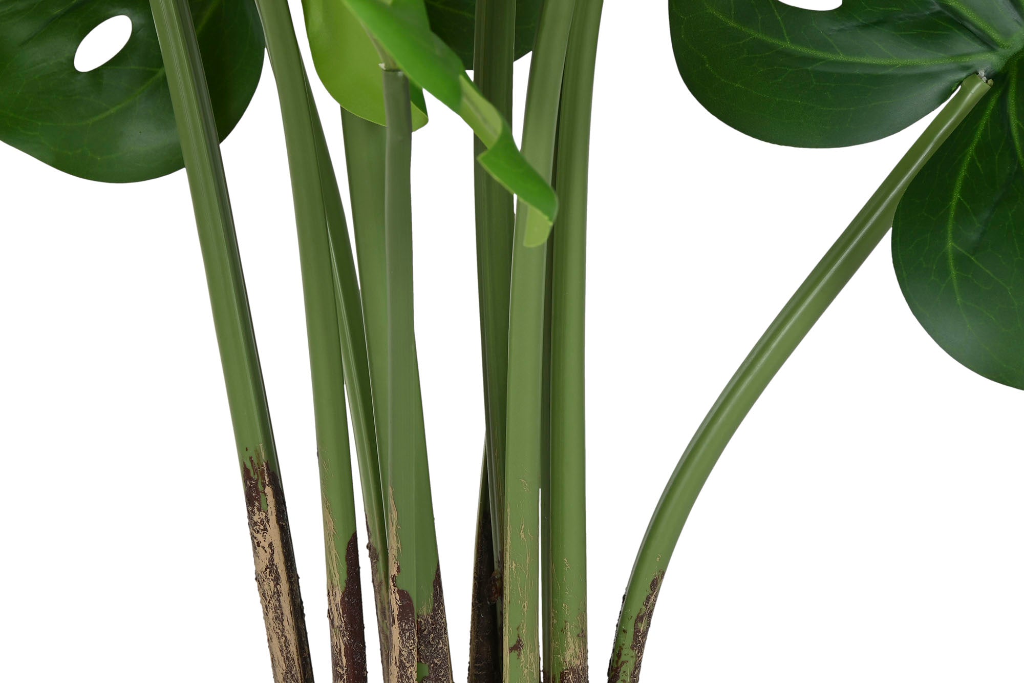 PLANTA PE PP 90X80X130 MONSTERA VERDE - Imagen 3