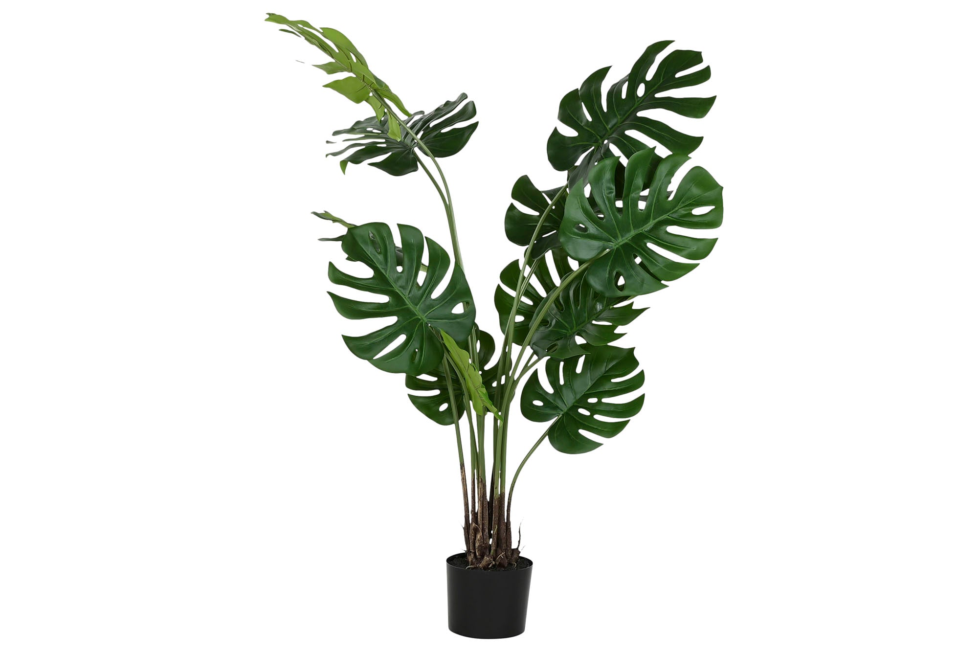 PLANTA PE PP 90X80X130 MONSTERA VERDE - Imagen 1