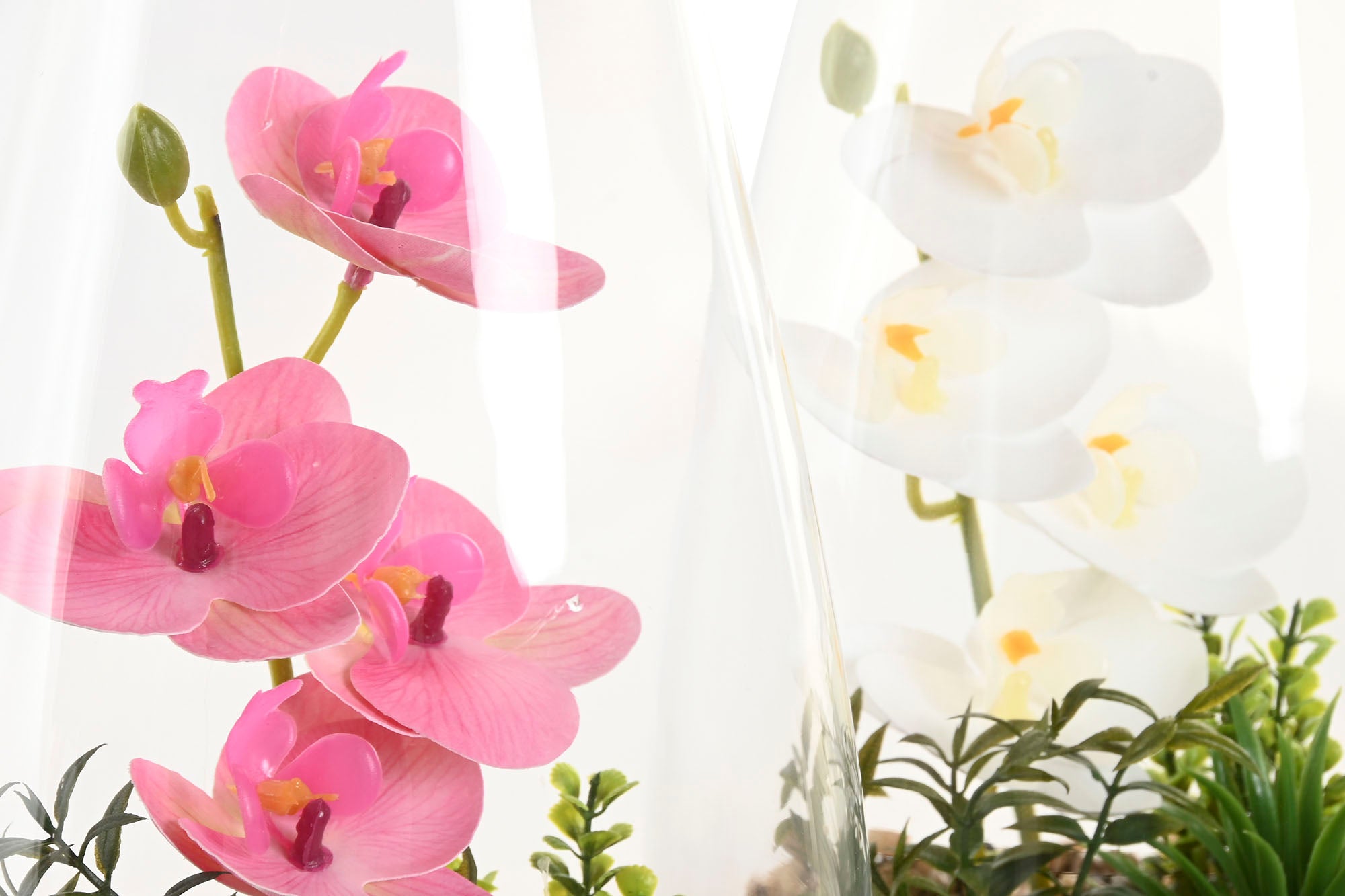 PACK DE 2 PLANTA PVC CRISTAL 15X15X25 ORQUIDEA 2 SURT.