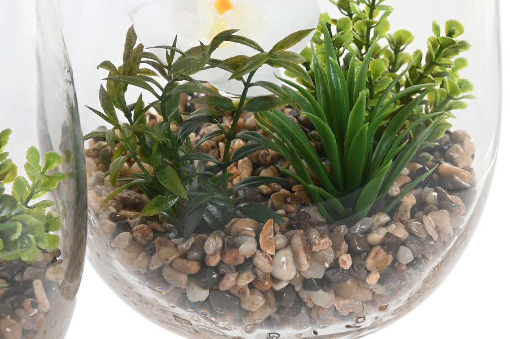 PACK DE 2 PLANTA PVC CRISTAL 15X15X25 ORQUIDEA 2 SURT.