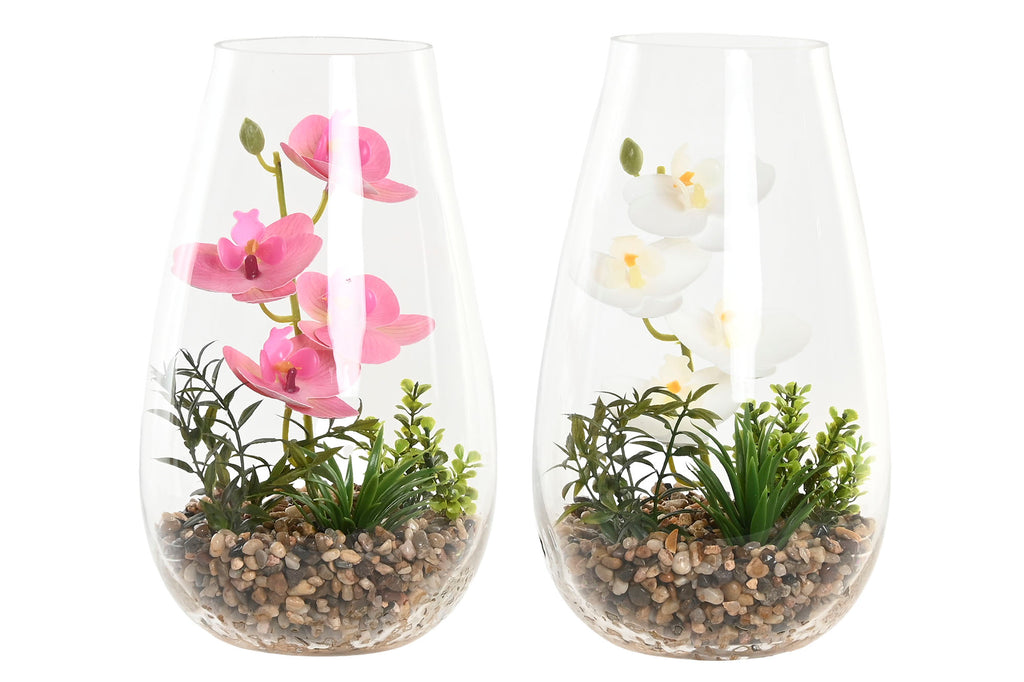 PACK DE 2 PLANTA PVC CRISTAL 15X15X25 ORQUIDEA 2 SURT.
