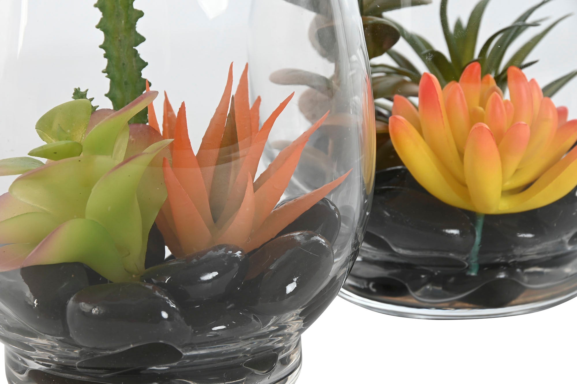 PACK DE 2 PLANTA PVC CRISTAL 10X10X15 2 SURT.