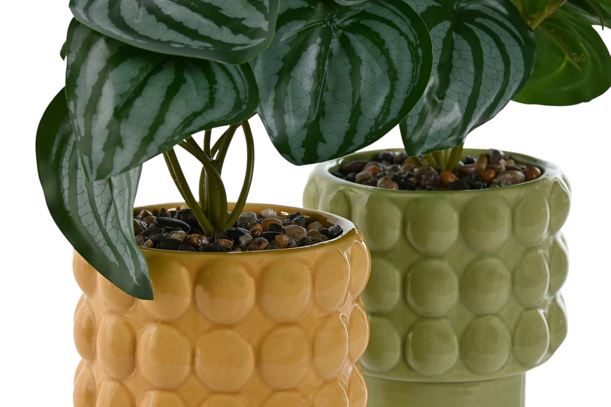 PACK DE 6 PLANTA DOLOMITE PE 9X9X19 2 SURT.