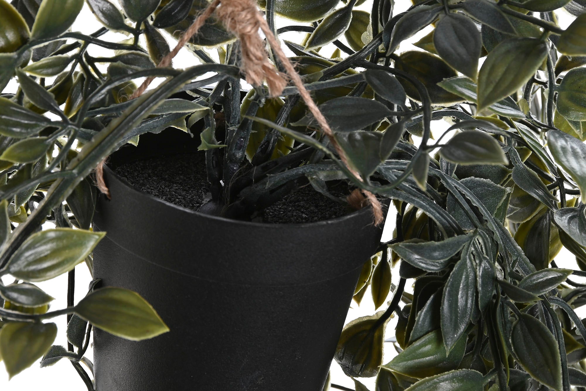 PACK DE 12 PLANTA PE 20X20X50 2 SURT.