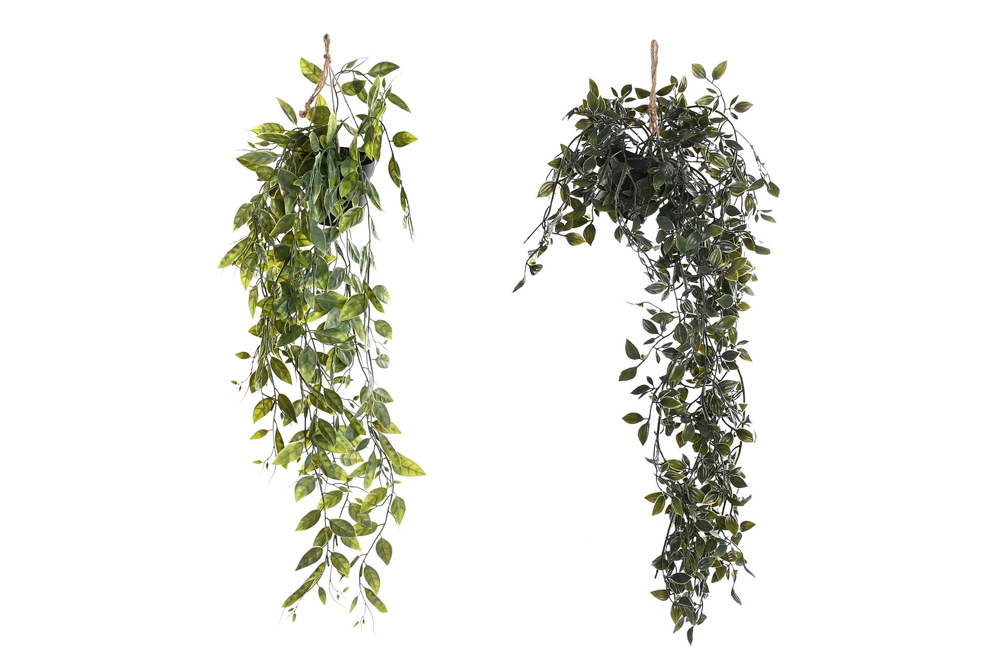 PACK DE 12 PLANTA PE 20X20X50 2 SURT.