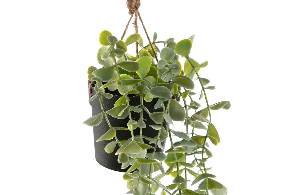 PLANTA PE 30X30X65 COLGANTE 2 SURT. - Imagen 3