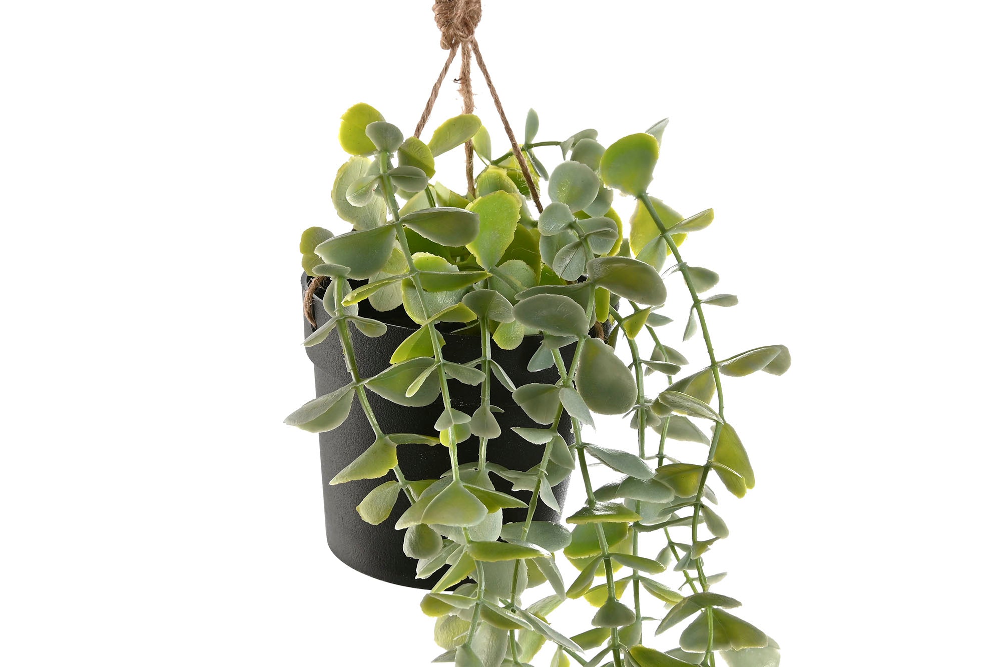 PLANTA PE 30X30X65 COLGANTE 2 SURT. - Imagen 3