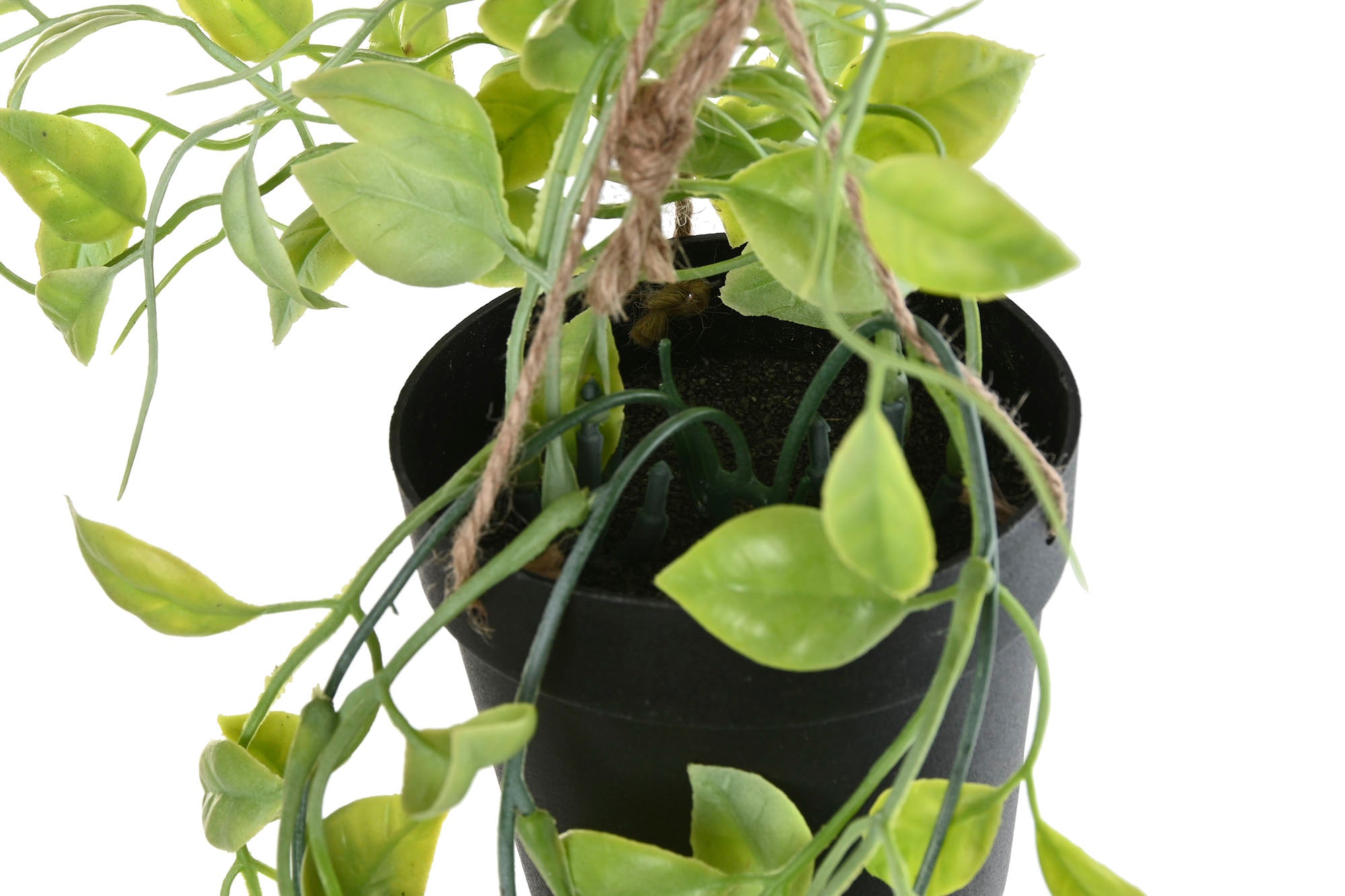 PLANTA PE 30X30X65 COLGANTE 2 SURT. - Imagen 4