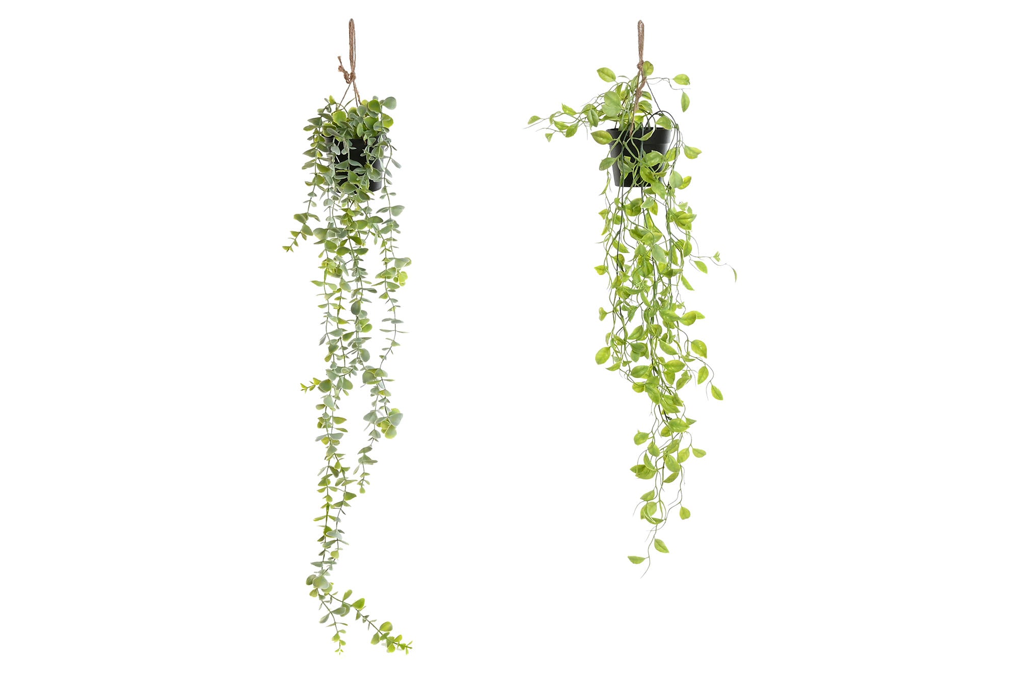 PLANTA PE 30X30X65 COLGANTE 2 SURT. - Imagen 1