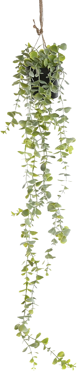 PLANTA PE 30X30X65 COLGANTE 2 SURT. - Imagen 2