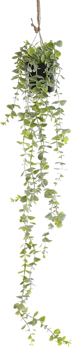 PLANTA PE 30X30X65 COLGANTE 2 SURT. - Imagen 2