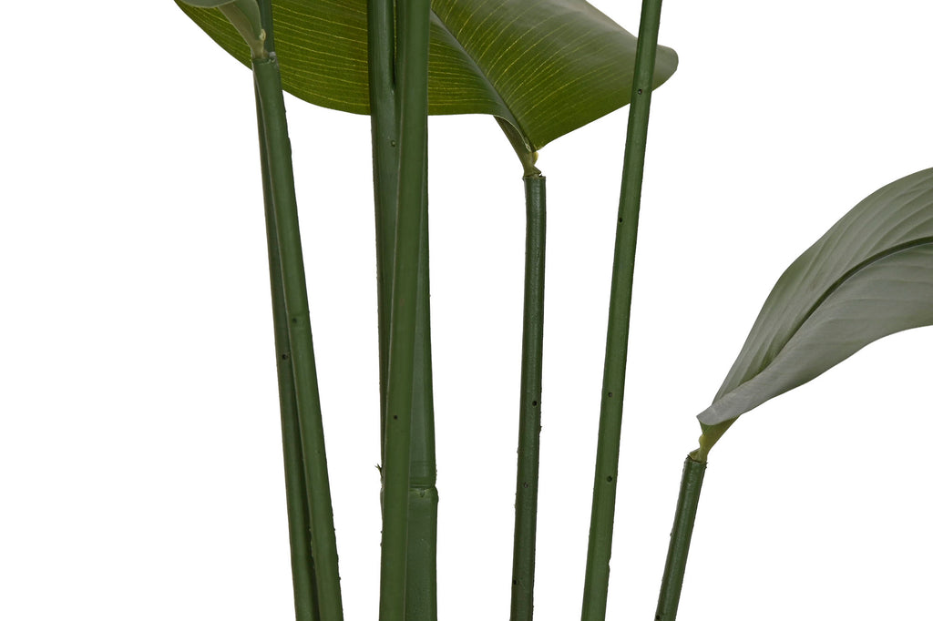 PACK DE 2 PLANTA PE 50X50X160 MARANTA VERDE