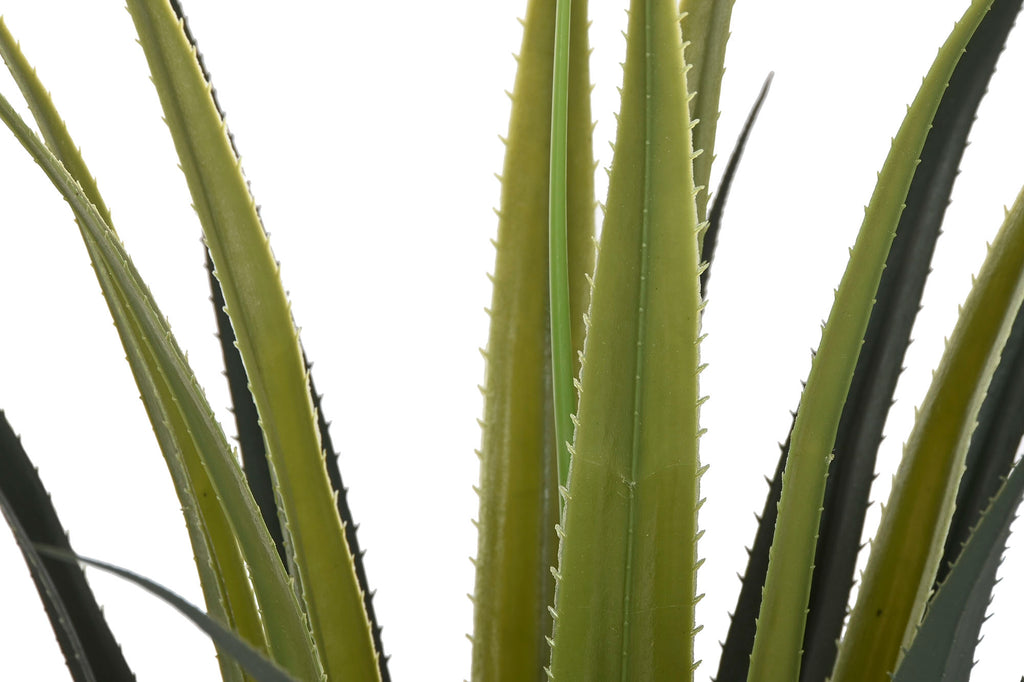 PLANTA PE 45X45X100 AGAVE VERDE - Imagen 2