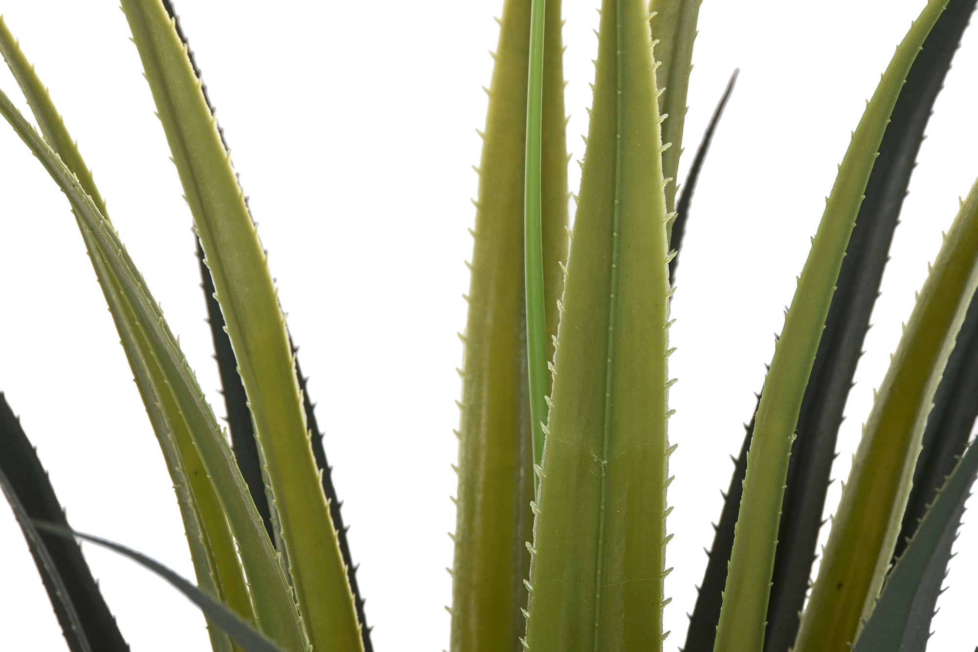 PLANTA PE 45X45X100 AGAVE VERDE - Imagen 2