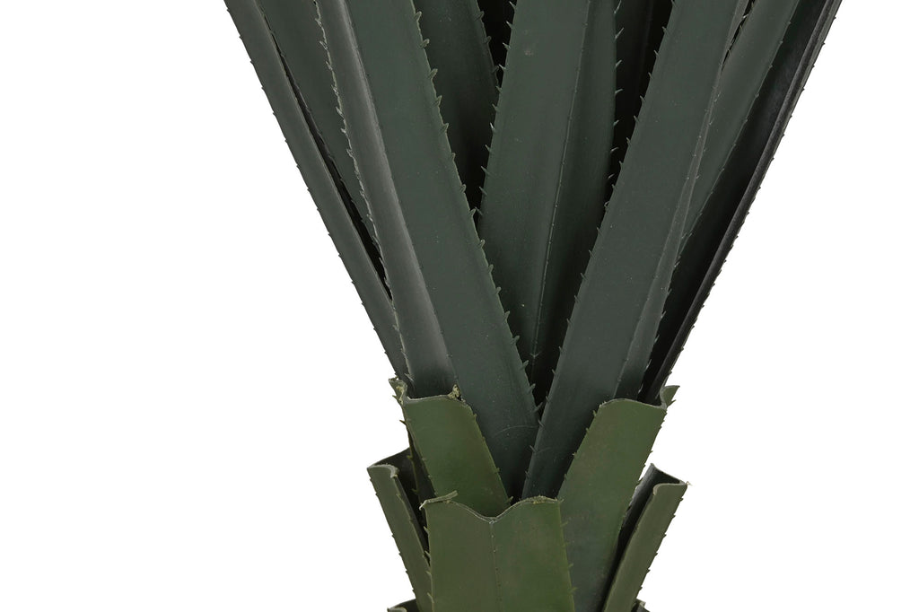 PLANTA PE 45X45X100 AGAVE VERDE - Imagen 4