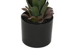 PLANTA PE 45X45X100 AGAVE VERDE - Imagen 3