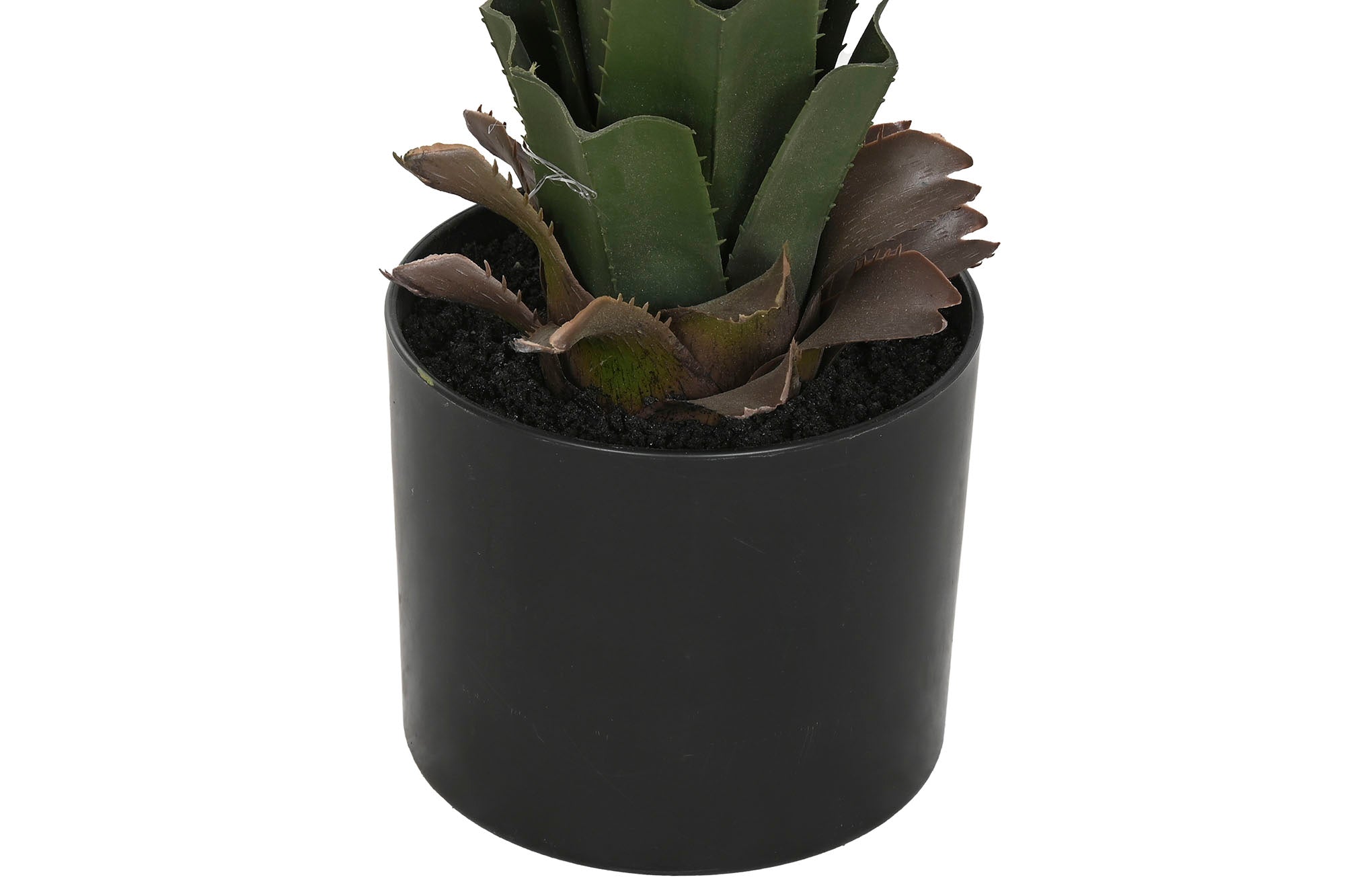PLANTA PE 45X45X100 AGAVE VERDE - Imagen 3