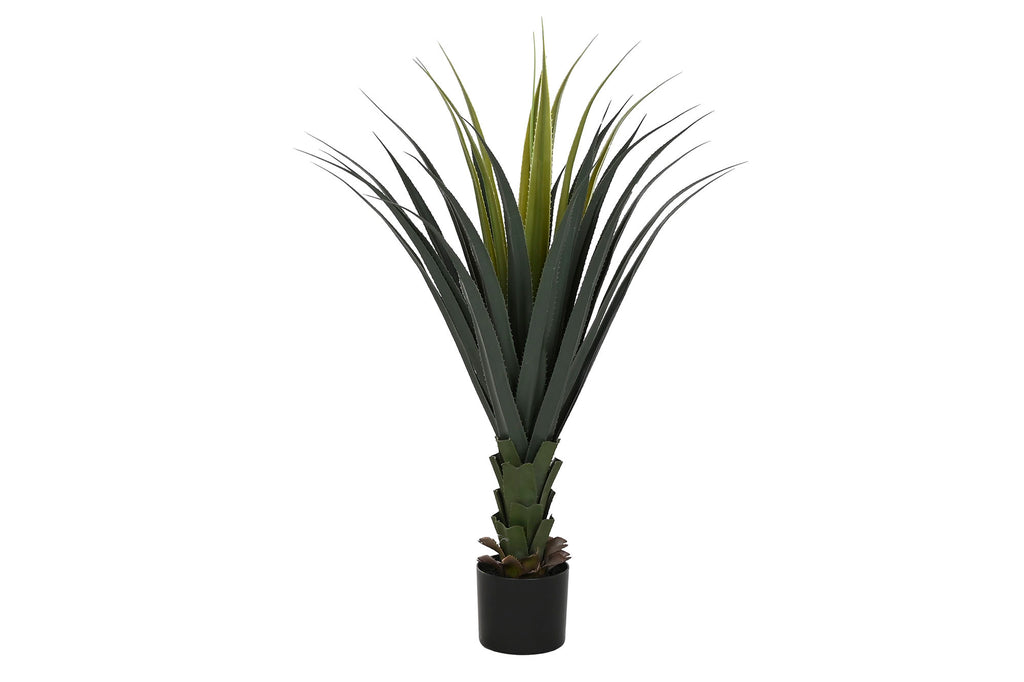 PLANTA PE 45X45X100 AGAVE VERDE - Imagen 1