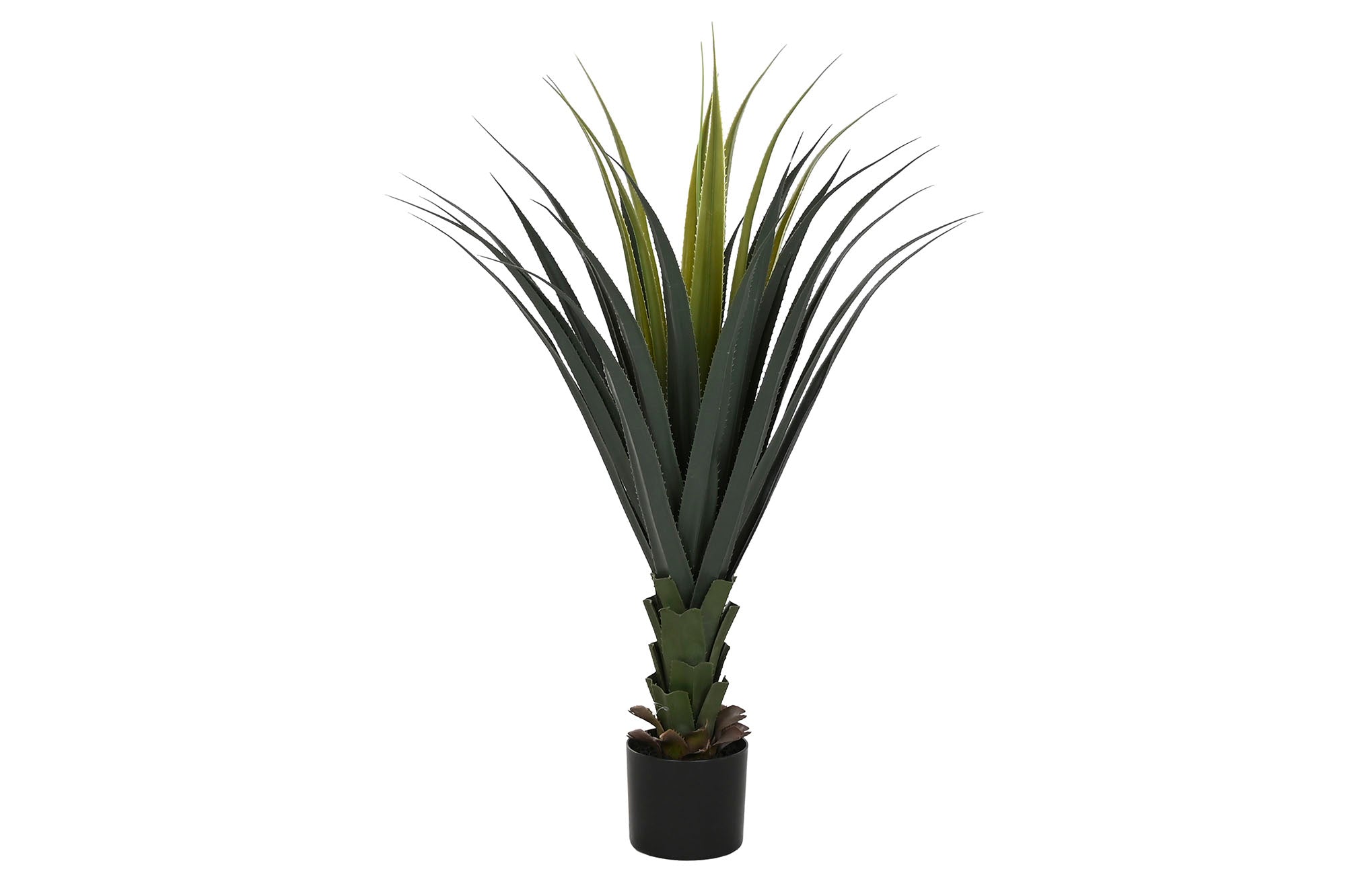 PLANTA PE 45X45X100 AGAVE VERDE - Imagen 1