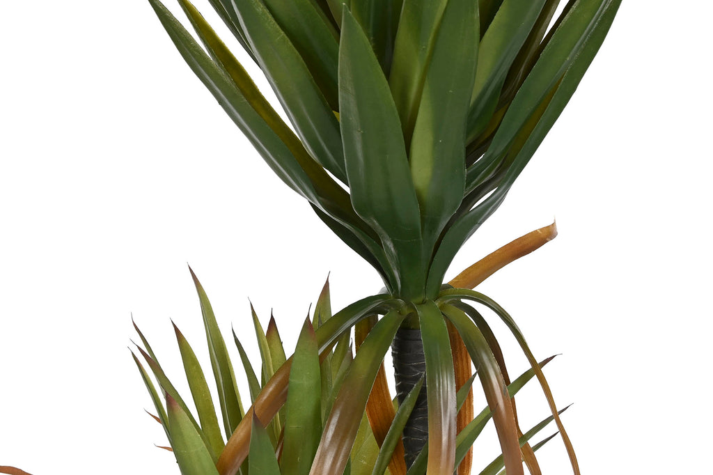 PACK DE 2 PLANTA PE 50X50X150 AGAVE CENTURY VERDE