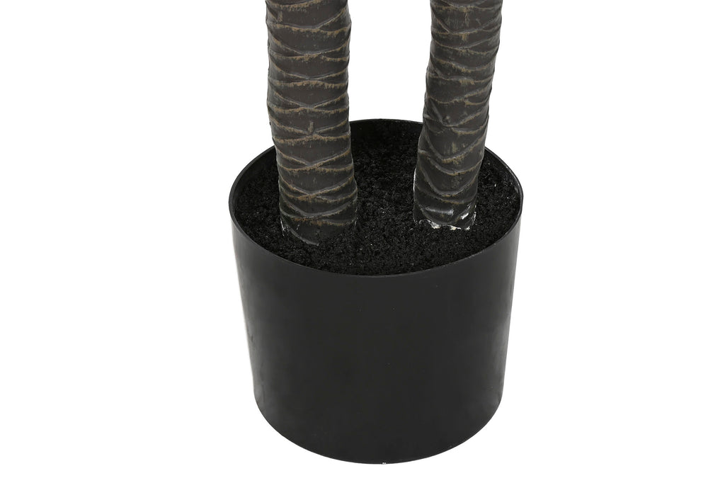 PACK DE 2 PLANTA PE 50X50X150 AGAVE CENTURY VERDE