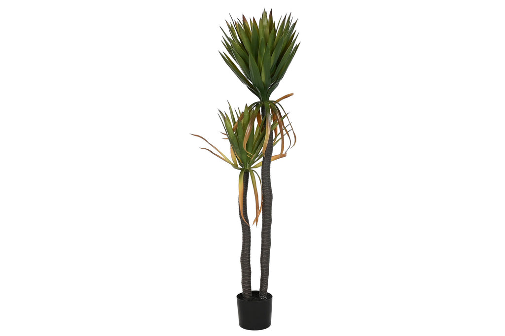 PACK DE 2 PLANTA PE 50X50X150 AGAVE CENTURY VERDE