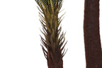 PLANTA PE 80X80X170 SAGO CYCAS VERDE