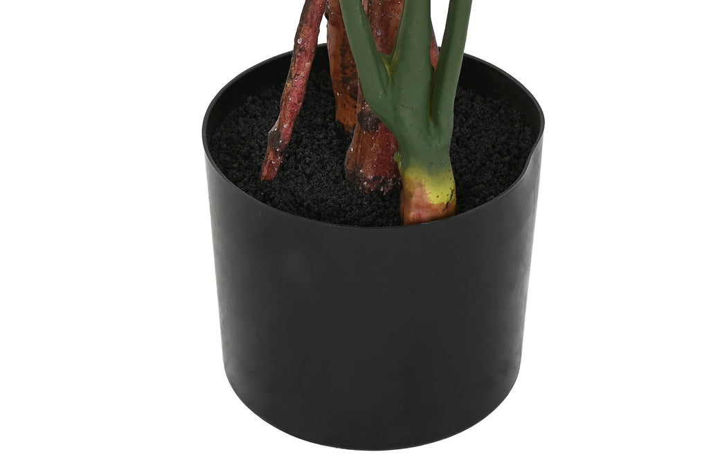 PACK DE 2 PLANTA PE 60X60X170 MONSTERA VERDE