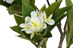 ARBOL PE 80X80X150 FRANGIPANI FLOR TAHITI BLANCO