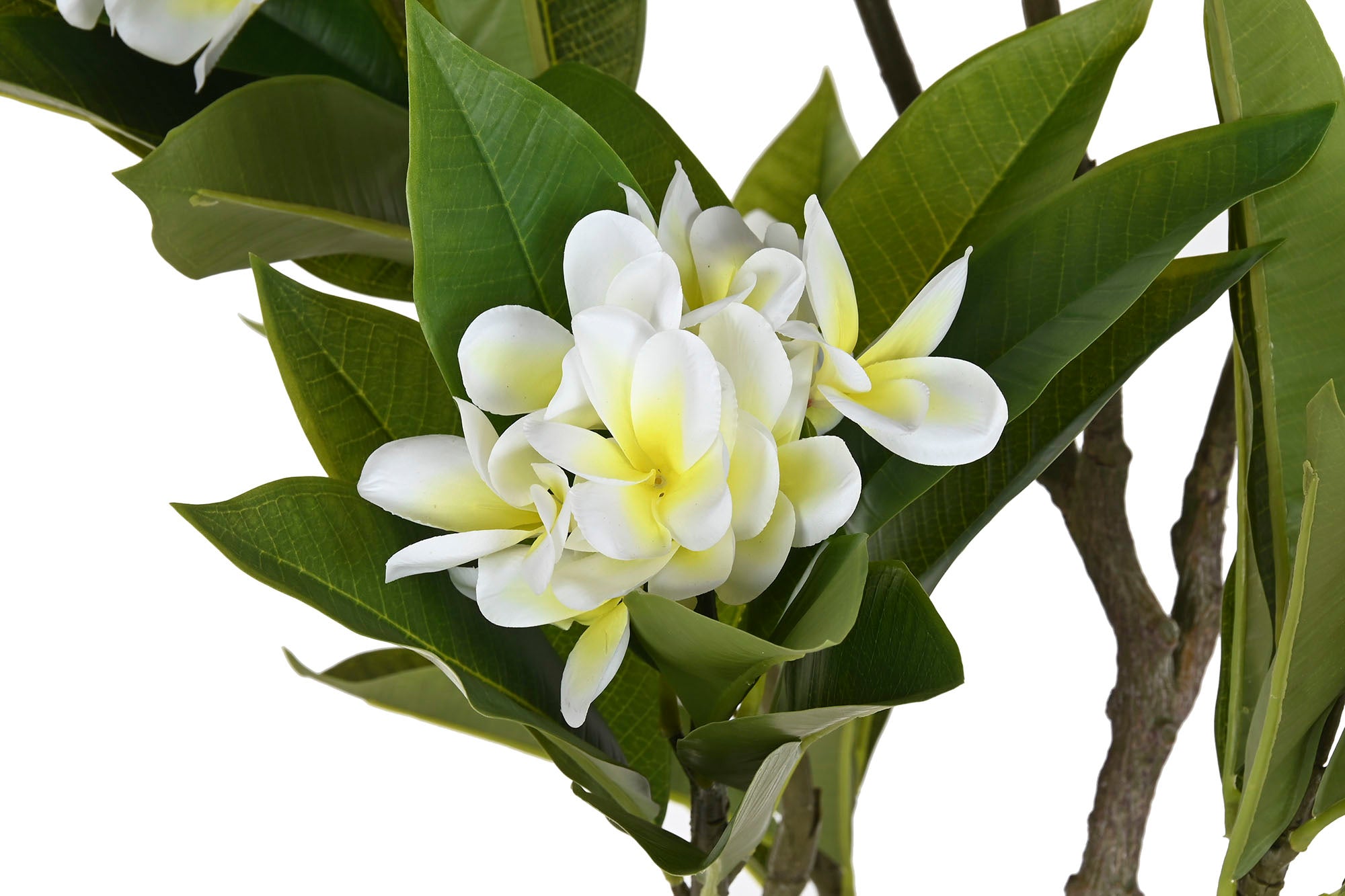 ARBOL PE 80X80X150 FRANGIPANI FLOR TAHITI BLANCO