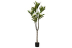 ARBOL PE 80X80X150 FRANGIPANI FLOR TAHITI BLANCO