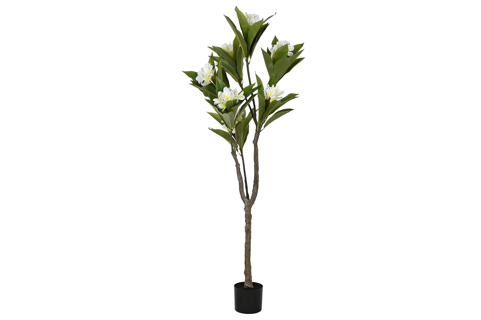 ARBOL PE 80X80X150 FRANGIPANI FLOR TAHITI BLANCO