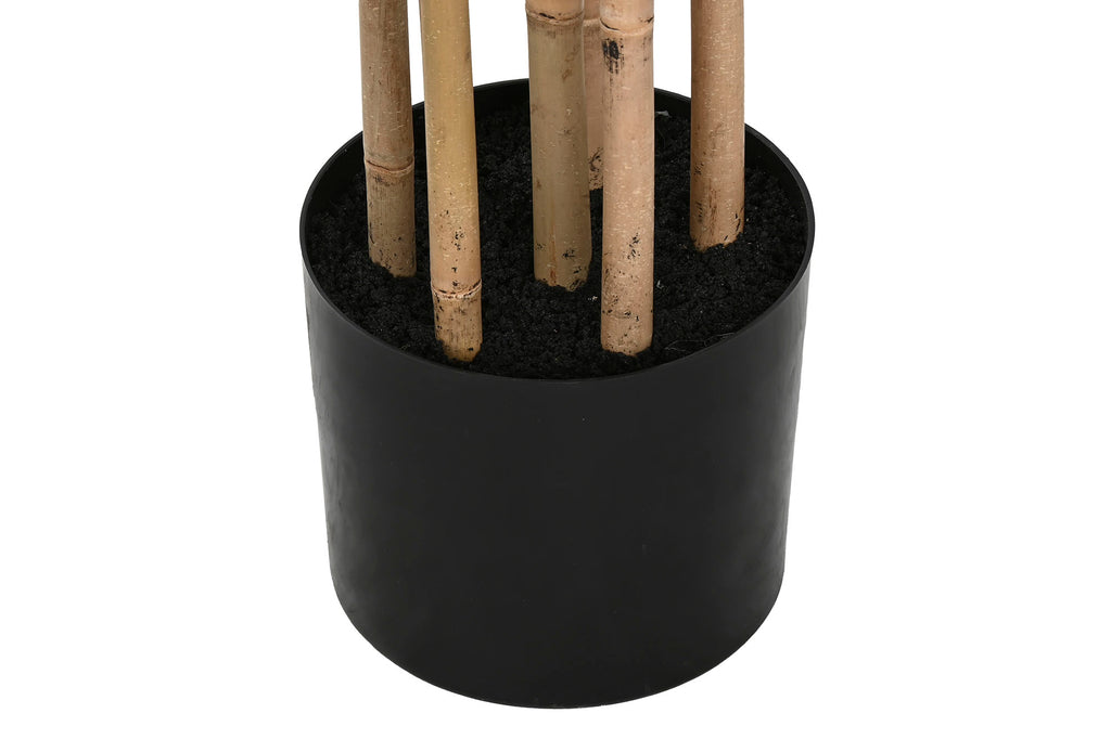 PACK DE 2 PLANTA PE 50X50X210 BAMBU VERDE