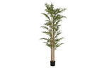 PACK DE 2 PLANTA PE 50X50X210 BAMBU VERDE