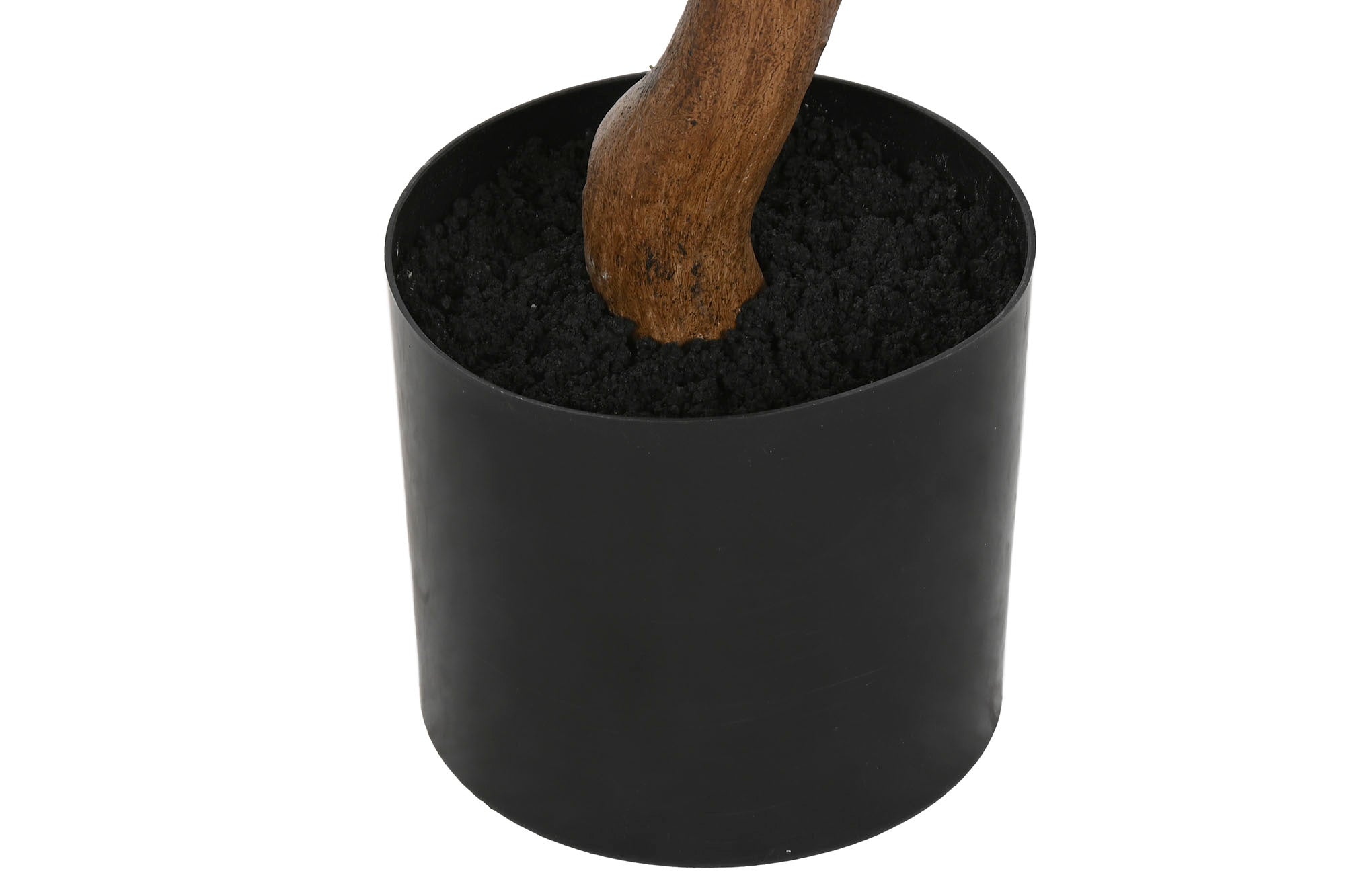 PLANTA PE 80X80X150 BUGANVILLA FUCSIA