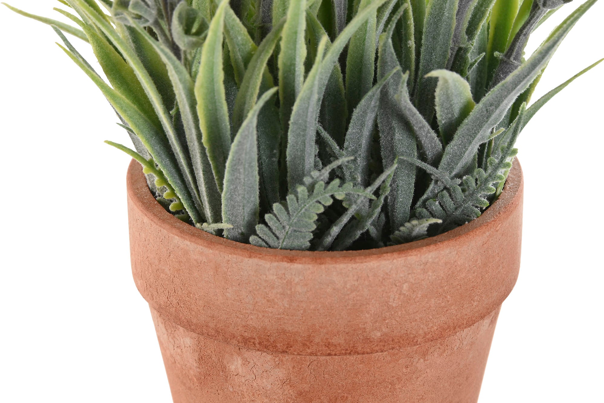 PACK DE 12 PLANTA PE FIBRA 10X10X21 LAVANDA 3 SURT.