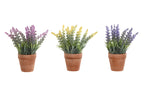 PACK DE 12 PLANTA PE FIBRA 10X10X21 LAVANDA 3 SURT.
